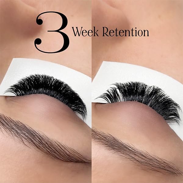 Lashbox LA Alchemist Professional Black Lash Extension Adhesive