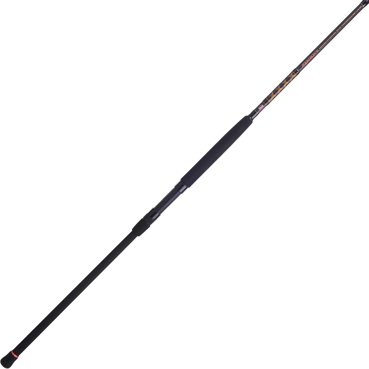 Penn Squadron IV Surf Spinning Rod