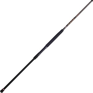 PENN Squadron III Surf Spinning Fishing Rod