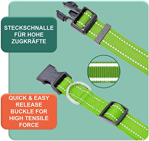 DEY - Premium Hundehalsband Nylon, Reflektierend, Verstellbar, für Kleine u. Große Hunde, viele Farben u. Größen, Hund Welpe, Hunde-Halsbänder, Katzen-Halsband, Welpen-Halsband, Grün, S