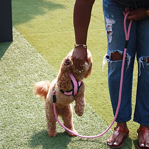Gooby Mesh Leash - Purple, 4 Ft - Breathable Mesh 4 Foot Leash For Small Dogs With Bolt Snap Clasp - On The Go Dog Leashes For Small, Medium, And Large Dogs #TOP5