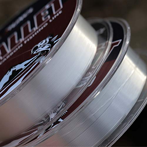 image for RUNCL SVALLET Fluorocarbon Fishing Leader, Fluorocarbon Line - Materia