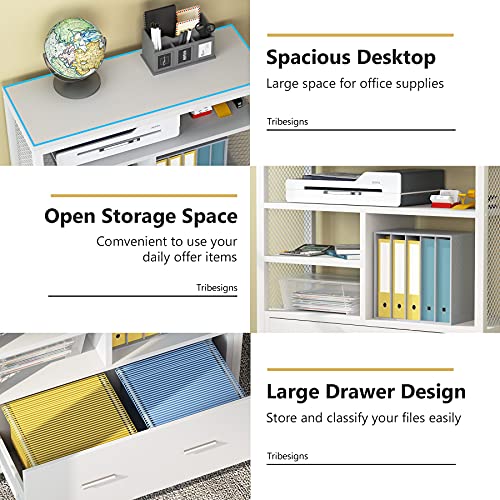 Tribesigns Wood Lateral File Cabinet With Drawer For Letter Size, Large Modern Filing Cabinet Printer Stand With Metal Wire Open Storage Shelves For Home Office (White) #TOP6