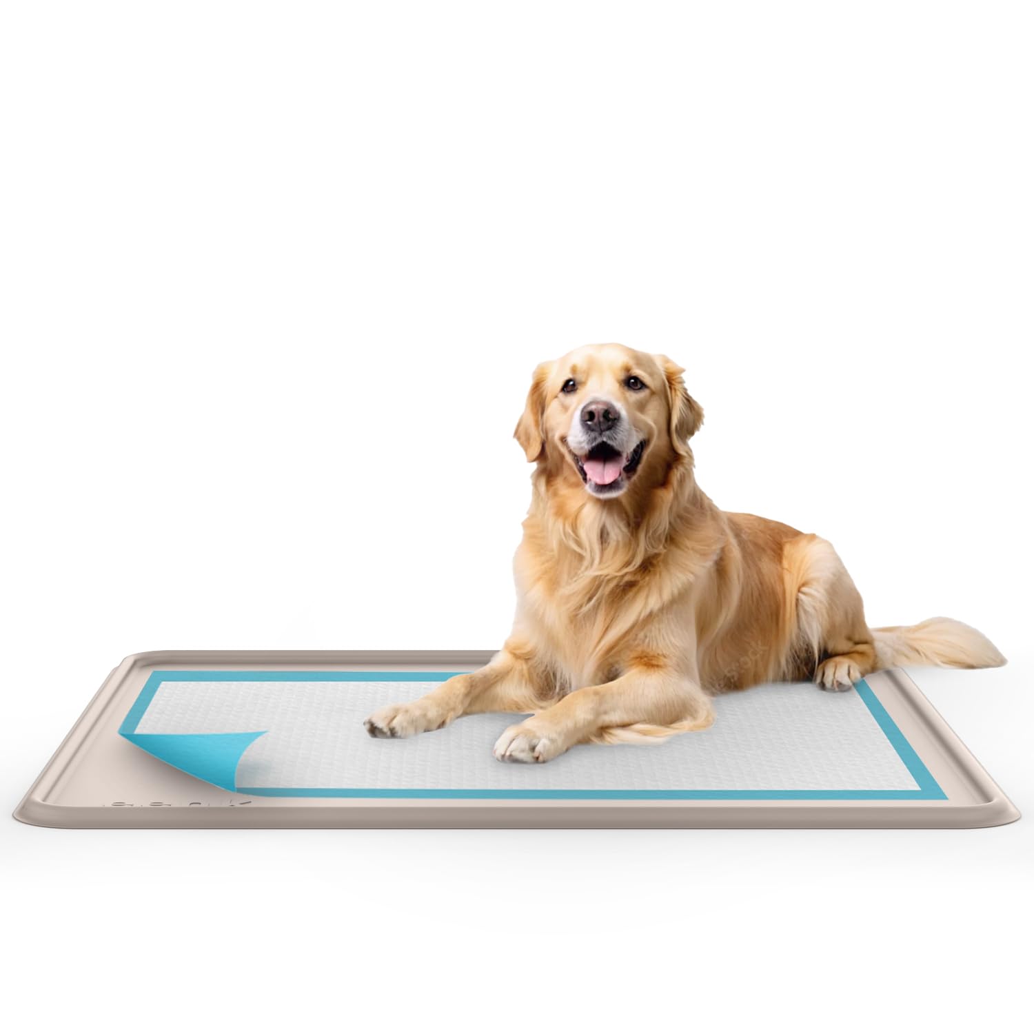 Dog Training Pad Silicone Tray - 35 x 28 in. No Spill Raised Lip High Edge Mat Holder, Extra Thick and Non-Slip for Indoor Floor Protection, Universal Fit Potty Training Pads (XL, Gray) | eenk — Amazon image 6