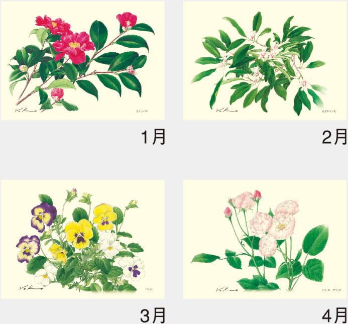 Amazon | カレンダー 2026年 花 壁掛け ボタニカルアート 内城葉子作品