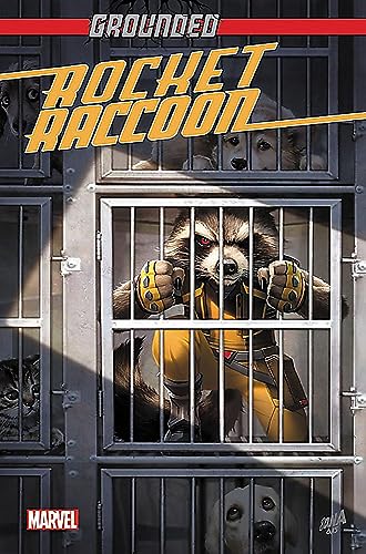 Rocket Raccoon: Grounded