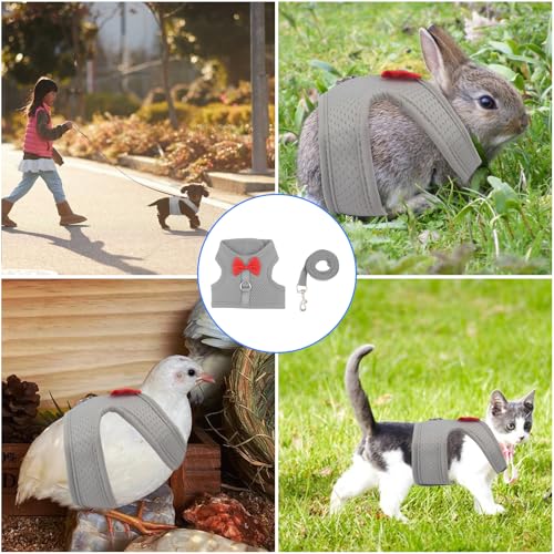 Image of Bunny Rabbit Harness with Leash, Cute Grey Adjustable Mesh Vest for Bunnies Ferret Small Pig & Squirrel Bunny Leash Vest Mesh for Walking for 5.5-10Lb Bunnies