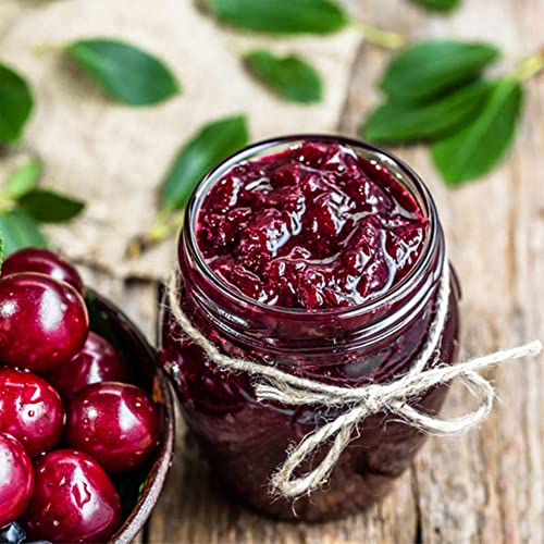 Dwarf Cherry Tree Seeds, Prunus Cerasus, Prunus Fruticose, Indoor/Outdoor(10 Seeds)-Qauzuy Garden #TOP2