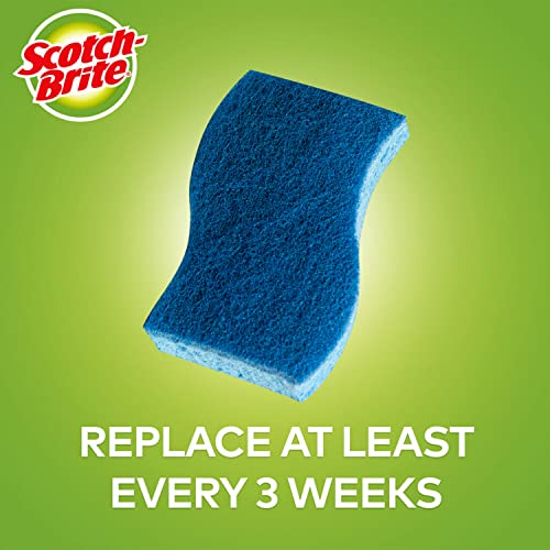 Image of Scotch-Brite Kitchen Cleaning & Dish Washing Starter Kit: Non-Scratch Scrub Sponge (6 Pack) + Non-Scratch Advanced Soap Control Dishwand + Glass and Water Bottle Brush