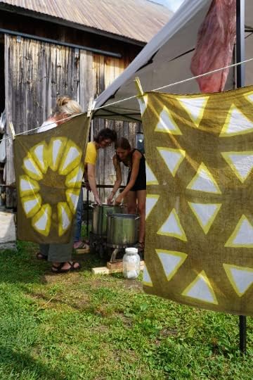 Miniatura 5 de Primary Colors Natural Dye Semillas 3 variedades, rojo, amarillo, azul