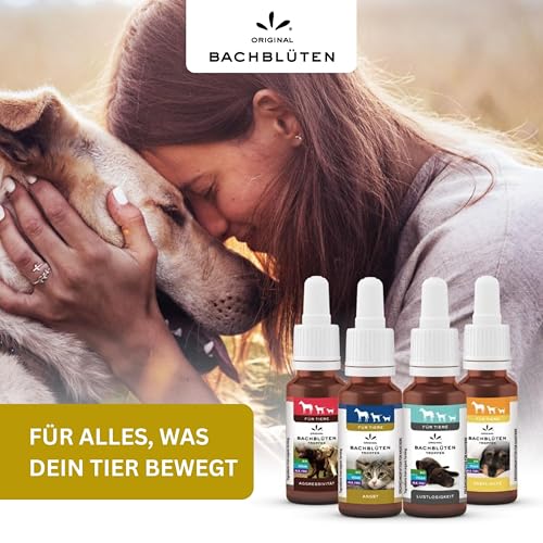 Lemon Pharma Bachblüten Tropfen Angst für Tiere – Beruhigung, Anti Stress für Haustiere, für Katzen und Hunde, Bio & Vegan
