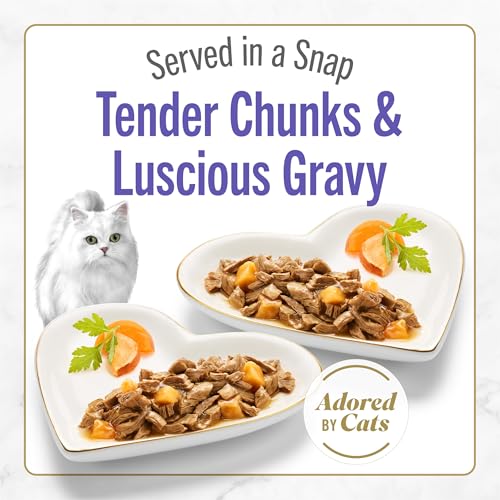 Purina Fancy Feast Petites With Roasted Turkey Entrée with Sweet Potato in Gravy Gourmet Wet Cat Food - (Pack of 12) 2.8 oz. Tubs