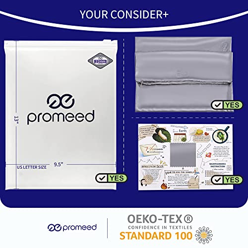 Promeed 22 Momme Pink Silk Pillowcase Toddler/Travel Size, Both Sides Oeko Certified Natural Mulberry Silk Pillow Case Covers With Hidden Zipper (Toddler/Travel 13"X18", Pink) #TOP5