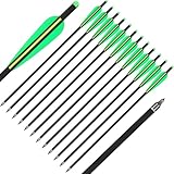 BKEBOLTS 24x Carbon Armbrustbolzen 20 Zoll Armbrustpfeile Jagd Bogenschießen Carbonpfeile mit 4" Flügelschraube Ersatz Pfeilspitze Spitze (grün/gelb)