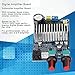 100W Digital Amplifier Board Subwoofer Amp Module for DIY Speaker 12 to 24V Power Supply, Multi Functional with Preamplifier, Bass Crossover