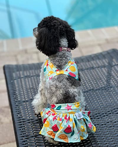 Image of CuteBone Dog Bikini Dress 2 Pack, Stylish Swimsuit Costume for Small Dogs, Comfortable & Adjustable Puppy Bathing Suit, Soft Outfit Pet Apparel for Beach, Pool and Summer Fun 2DB05M