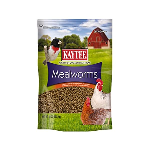 Kaytee Wild Bird Food Mealworms For Bluebirds, Wrens, Robins, Chickadees, Woodpeckers, Cardinals