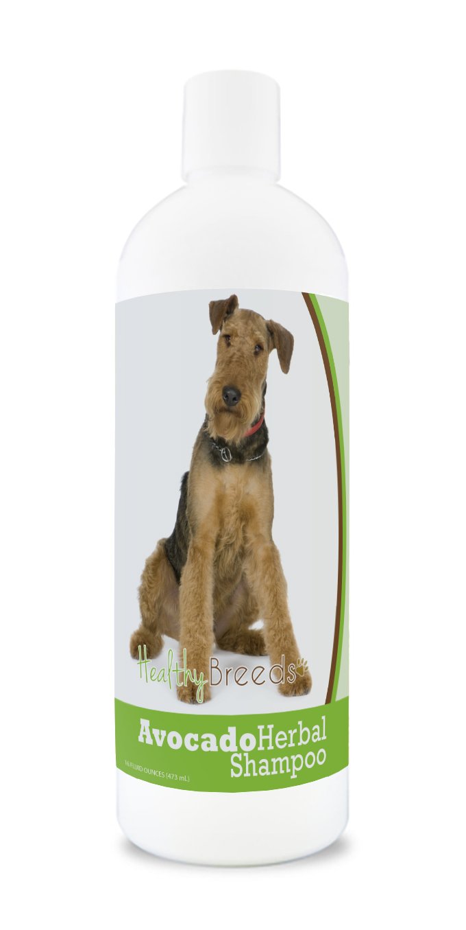 Healthy Breeds Labrador Retriever Avocado Herbal Dog Shampoo 16 oz — view 29