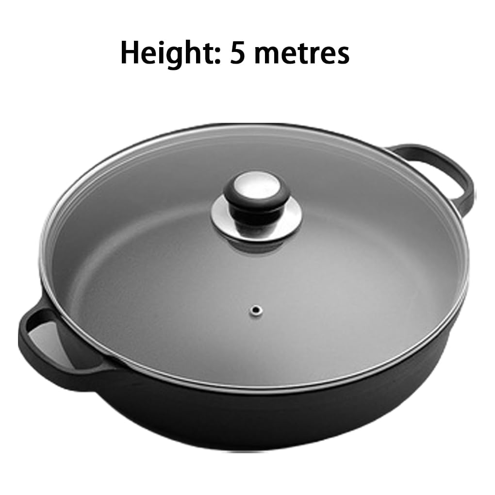 Padella in ghisa antiaderente con coperchio in,Diametro 25cm
