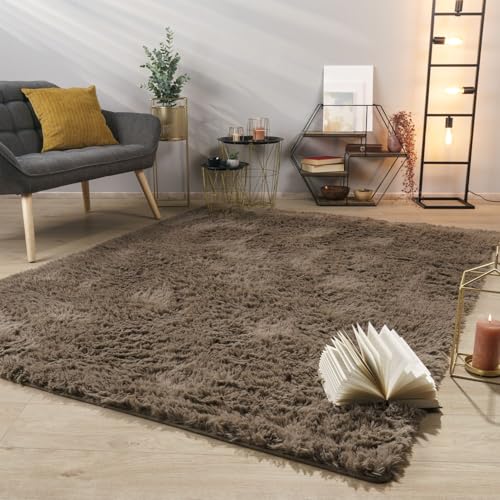 TT Home Tapis De Salon Tapis Shaggy Poil Long Doux Peluche Design Moderne Monochrome, Couleur: Beige Taupe, Dimension:160x220 cm