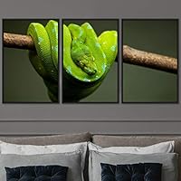 3 Piece Framed Canvas Wall Art Snakes Canvas Prints Home Artwork Decoration for Living Room,Bedroom - 16