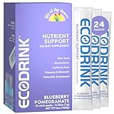 EcoDrink Complete Multivitamin Mix Drink. Blueberry Pomegranate Flavor - 30 Count Refill Pack (Bottle not included)