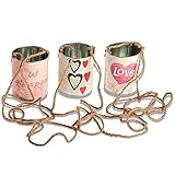 latas coche novia Tanto ruido y tanta felicidad Carnival Toys - Latas: Vivan los novios, con cuerda de 100 cm, 3 unidades, multicolor (6628)
