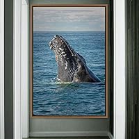 Framed Canvas Wall Art Fish on The Surface Bedroom Dolphin Marine Life Multicolor Nautical Photography - 16x24 inches