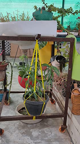 Plant Hanger Pack of 6,Hanging Plant pots Indoor Outdoor, Nylon Rope 22 inch (White)