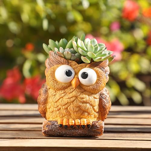 Owl-Shaped Flower Pot with Drainage Hole, Cute Resin Succulent Pl...