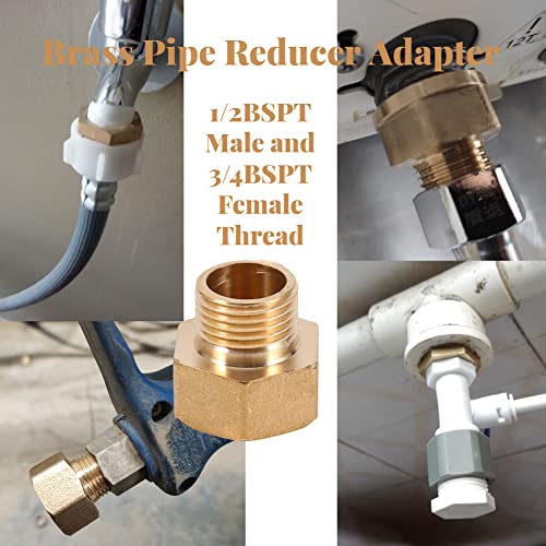 Reducciones de 3/4 a 1/2 2 Imagen adicional