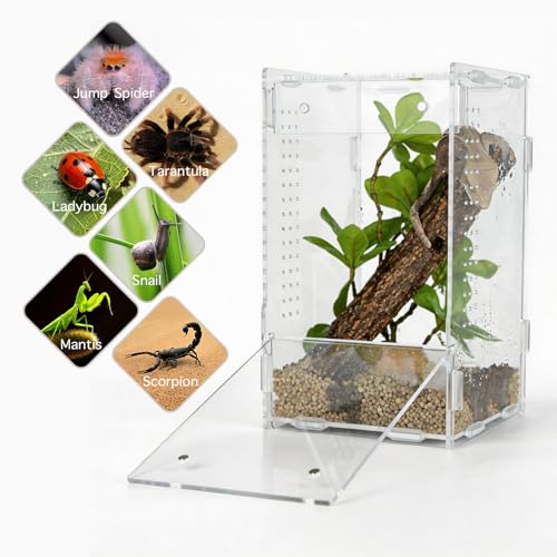 maiyuolg 5x5x8 Reptile Tank – Acrylic Reptile Enclosure Terrarium for Crested Gecko, Lizards, Spiders & Snakes – Clear Lizard Habitat Terrarium — view 4