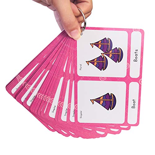Richardy 70 Groups Singular And Plural Nouns Flashcards Pocket Card Building Vocabulary Homeschool Kindergarten Supplies #TOP5