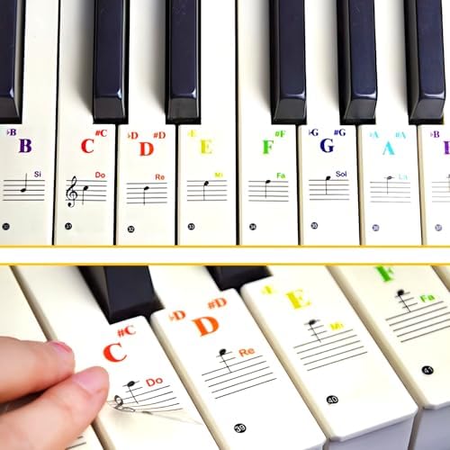 Amazon.com: Nalu Piano Keyboard Note Stickers with Large Bold Letters ...