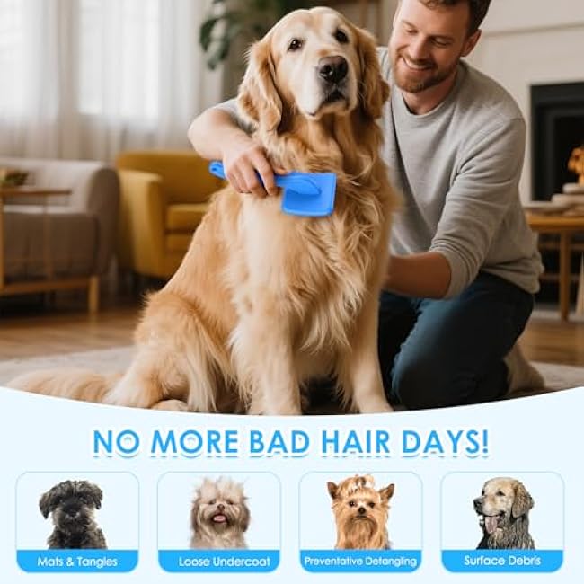 Large Slicker Brush for Dogs - 3PC Pet Grooming Kit - Undercoat Rake & Stainless Comb | Long Pins Remove Mats on Poodles, Golden, Labradoodles | Thick Coat Deshedder for Dogs, Cats, Blue-s80QHP8p