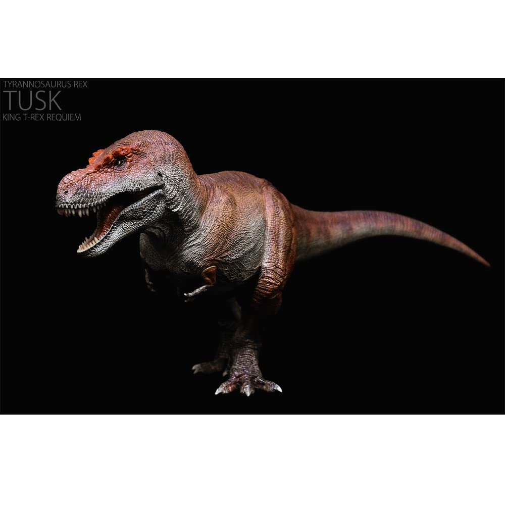 REBOR KING T-REX 1/35 スケール REBOR KING T-REX 1/35 スケール The Toyseum: King T-Rex