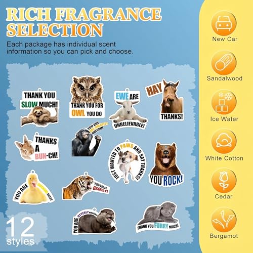 Image of Siifert 24 Pcs Housekeeping Week Gifts Bulk 2026 Funny Car Air Freshener