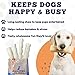 Amazing Dog Treats - Beef Cheek Rolls (10 Inch Regular - 4 Pcs) - Safe Rawhide Alternative Dog Chew - Great for Power Chewers - Long Lasting Dog Chew - Retriever Rolls for Dogs