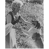 Marilyn Monroe Looking Glamorous Leaning Over Lassie the Dog Side Profile Shot Black and White 8 x 10 Inch Photo