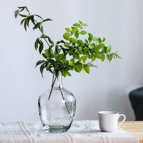 Clear Glass Vase for Decor, Big Belly Bubble Flower Bottle for Home Countertop, Shelf, Centerpiece and Shelf Decoration(6.3x6.3x10 In) - Image 5