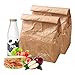 Hangnuo 2 Pack Insulated Brown Paper Lunch Bags Reusable, Retro Lunch Sacks for Adults Work Office & Kids School Picnic, Brown Paper - 10" x 8" x 4.3"