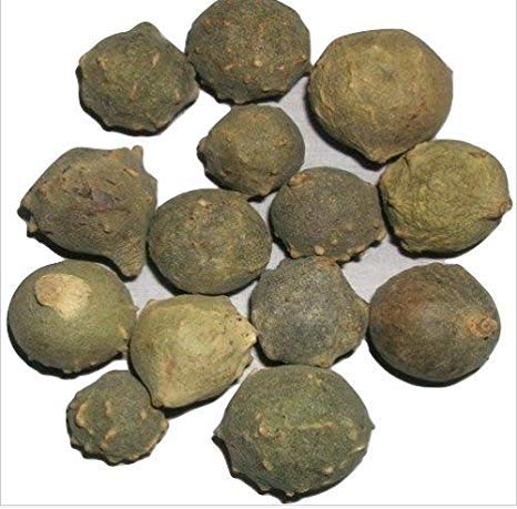 MAJUPHAL | MANJUPHAL | MAJUFAL | MAZU | Quercus INFECTORIA | à¤®à¤¾à¤œà¥à¤«à¤³ | MAYAPHALA | 150GM 0.35lbs