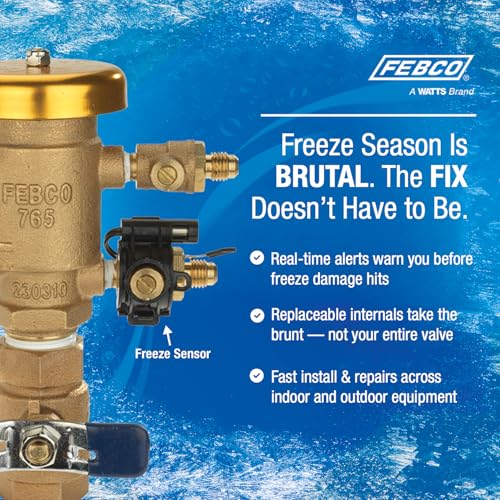 Image of Febco 765 Bronze Pressure Vacuum Breaker Backflow Preventer 1 inch Inlet
