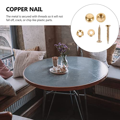 POPETPOP 8pcs Copper Mirror Nails for Flat Advertising Decorative Screws Caps Heavy-Duty Self-Drilling Fasteners for Furniture and Wall Art Decor Polished Finish miniatura 6