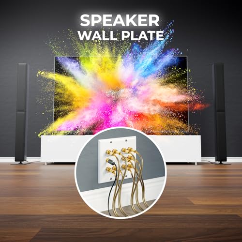 deleyCON Gniazdo Ścienne Gniazdo Przyłączeniowe Głośniki Multimedia Płytka Ścienna z Gniazdami Bananowymi do Systemu Surround Sound 5.1 i Subwoofera Kina Domowego