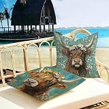 Poszewka na poduszkę 35 x 35 cm Zwierzę Na zewnątrz Wodoodporne Aksamitne poszewki na poduszki do salonu, Highland Cow Pack 2 sztuki, z ukrytym zamkiem błyskawicznym na sofę, taras, do ogrodu