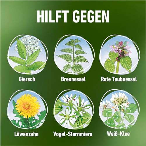 Compo Unkrautfrei Express - Unkrautvernichter - 1L Konzentrat - Anwendung zwischen Gemüse und Zierpflanzen - wirkt gegen Algen, Moos und mehr als 50 Unkräuter