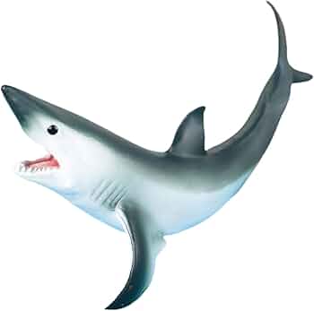 51sK5QtcJnL._AC_UF350,