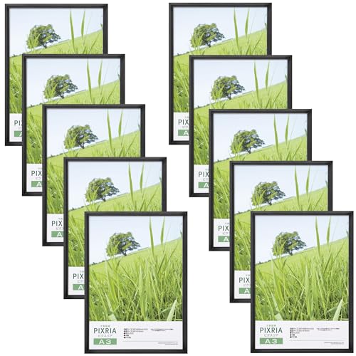 Amazon | ハクバ HAKUBA 木製 額縁 ピクスリア [A3サイズ ブラック 10