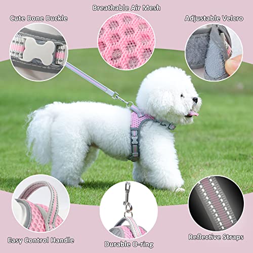 Dog Harness and Leash Set, No Pull Harness for Small Dogs and Cats, Air Mesh Harness with Easy Control Handle and… - Image 3